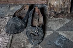 die Ballerinas...