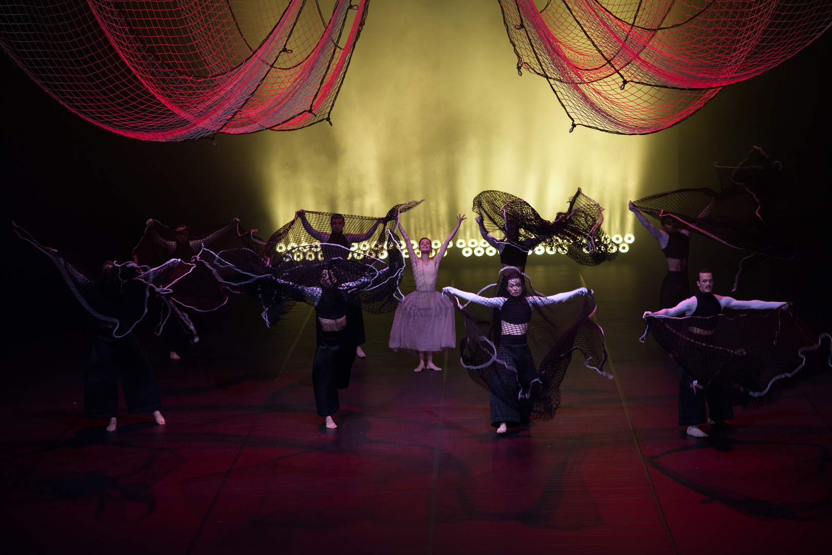 Die Ballettänzer und die Balletttänzerinnen in Halle an der Saale, Sachsen-Anhalt, Deutschland