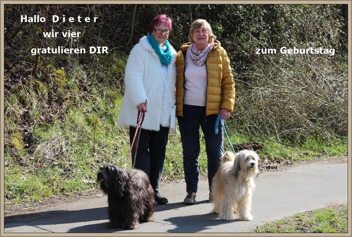 Die Bande gratuliert "Dieter " (dadiet)