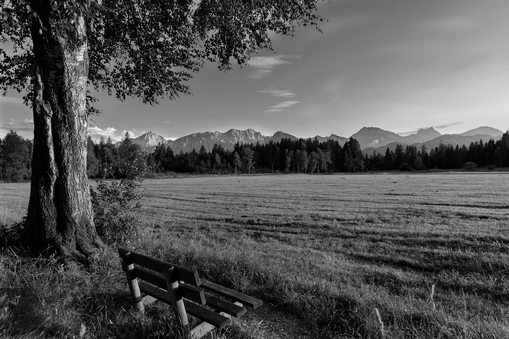 Die Bank Foto & Bild | world, spezial, natur Bilder auf ...