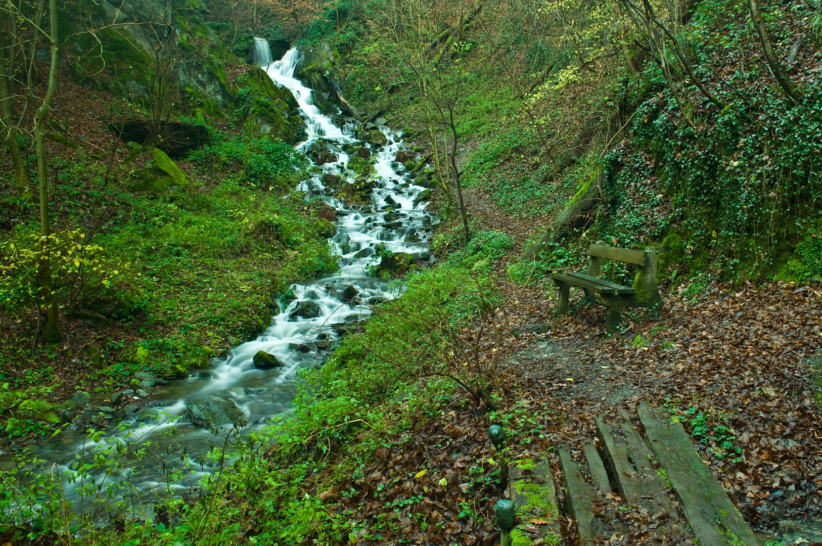 Die Bank am Bach