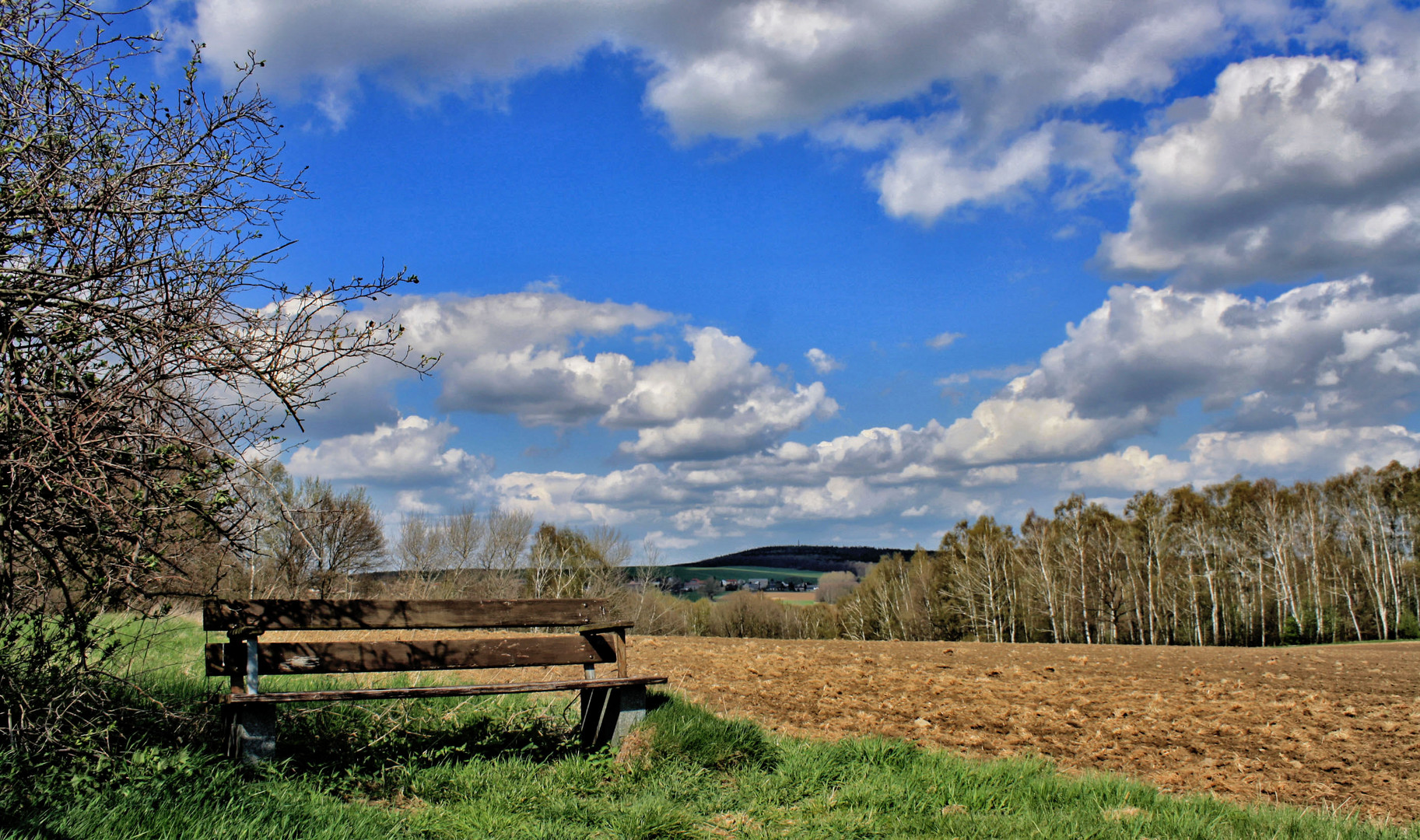 die bank am feldrand