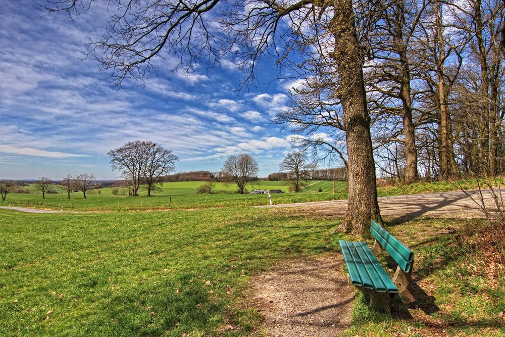 Die Bank am Hauerberg