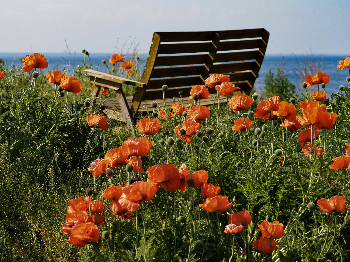 Die Bank am Meer