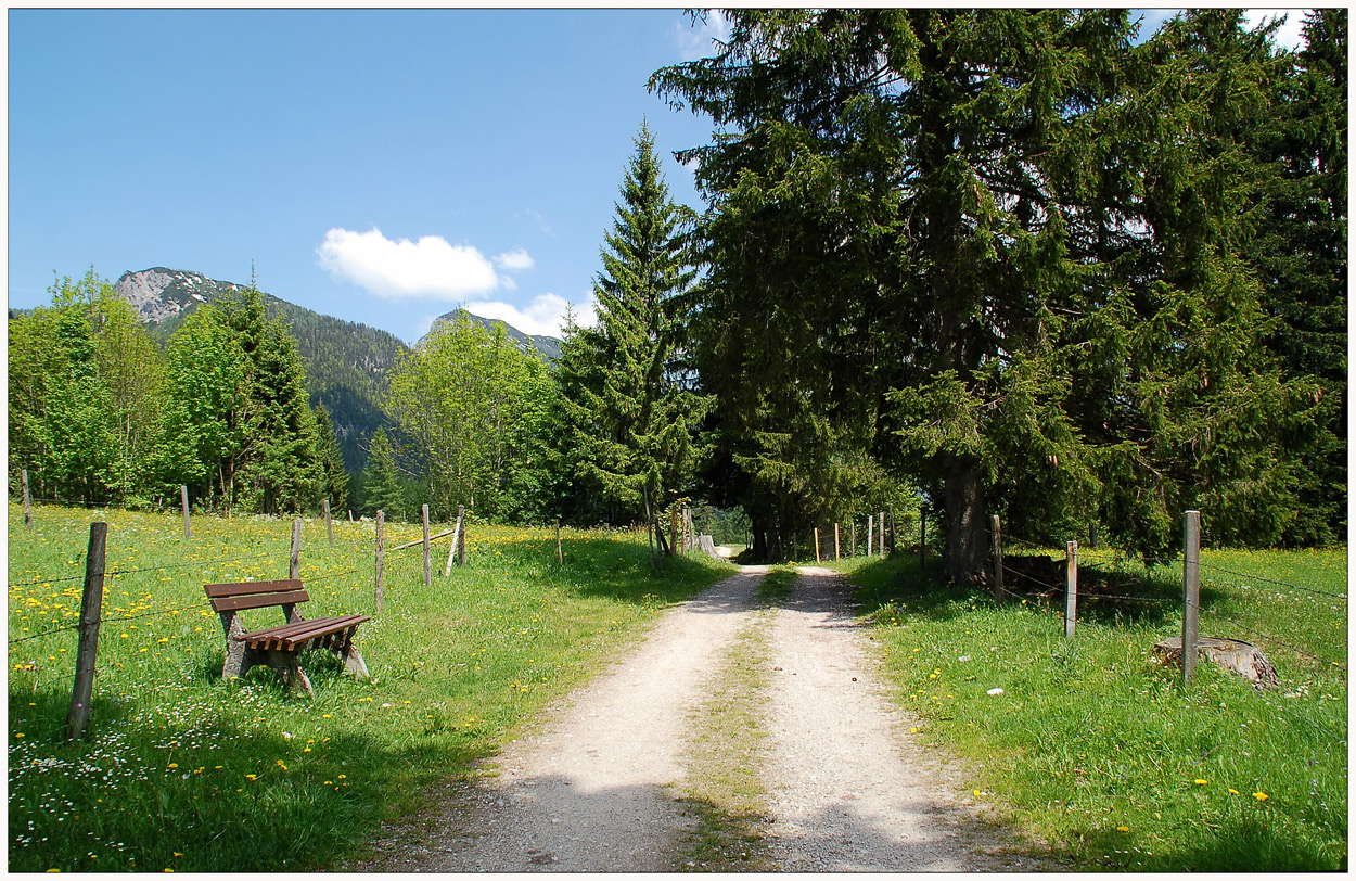 Die Bank am Narzissenweg...