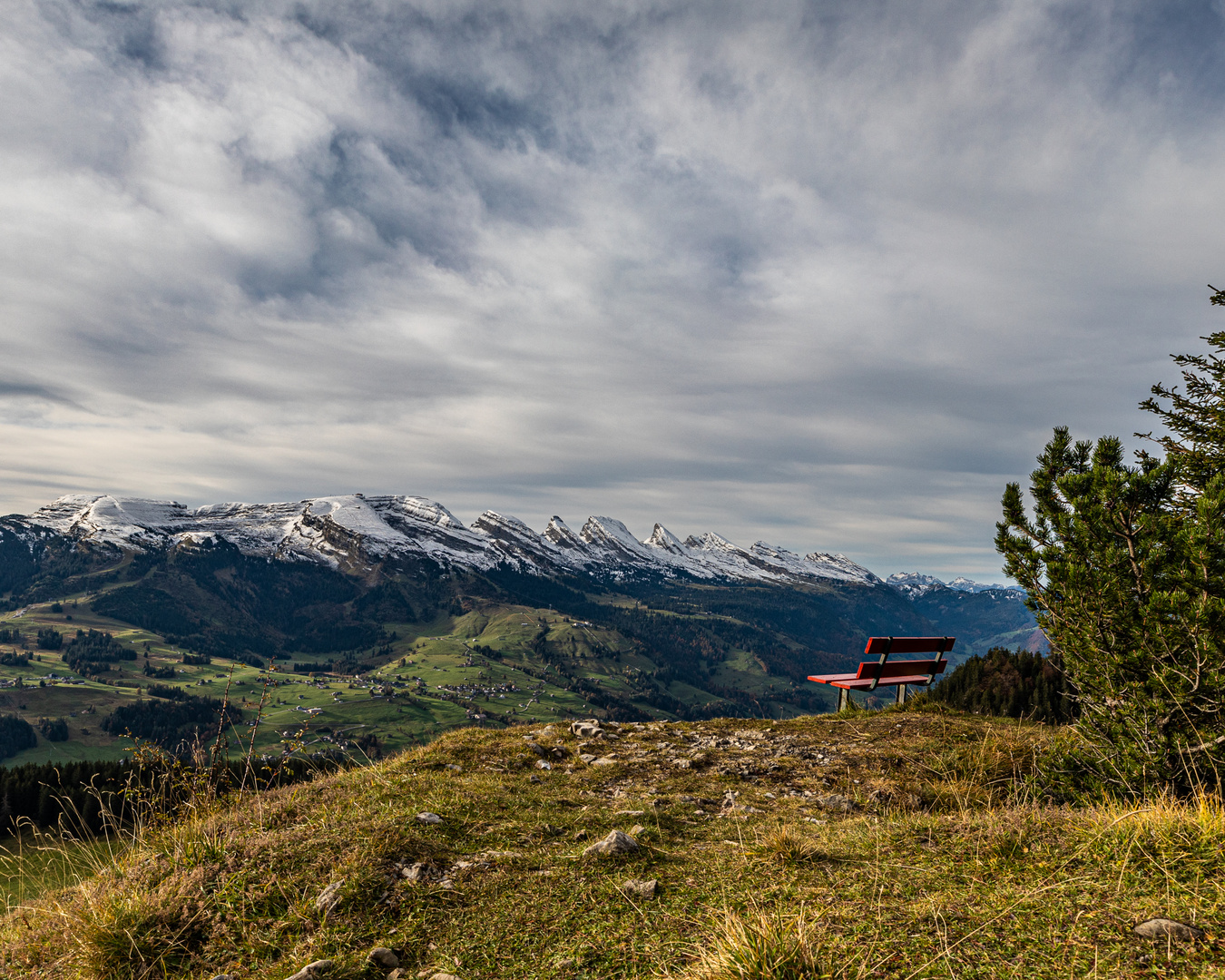 Die Bank am Schafberg