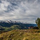 Die Bank am Schafberg