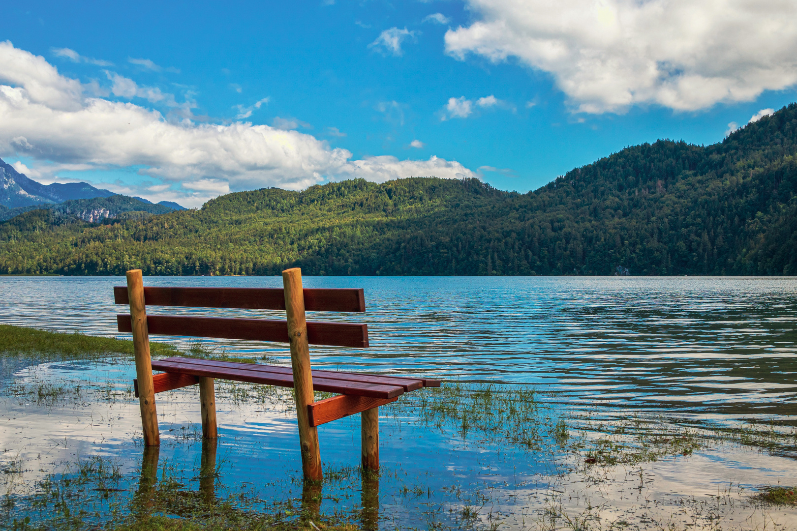 Die Bank am See