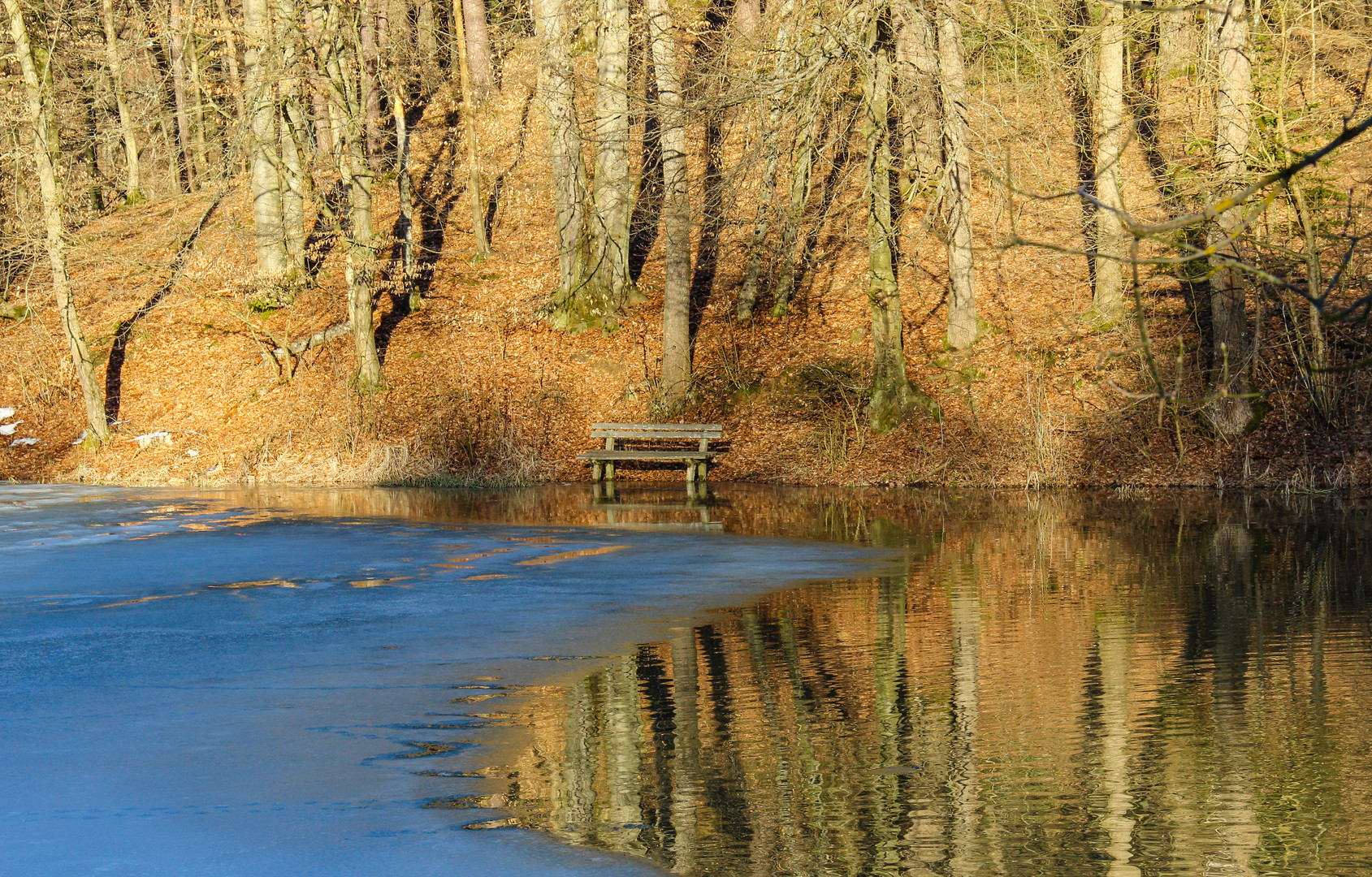 Die Bank am See