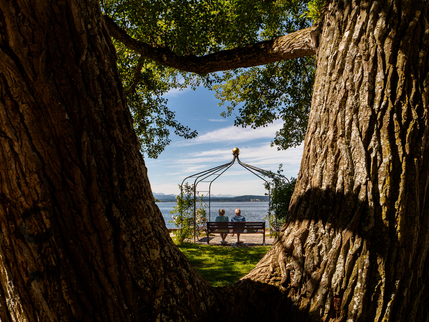 Die Bank am See