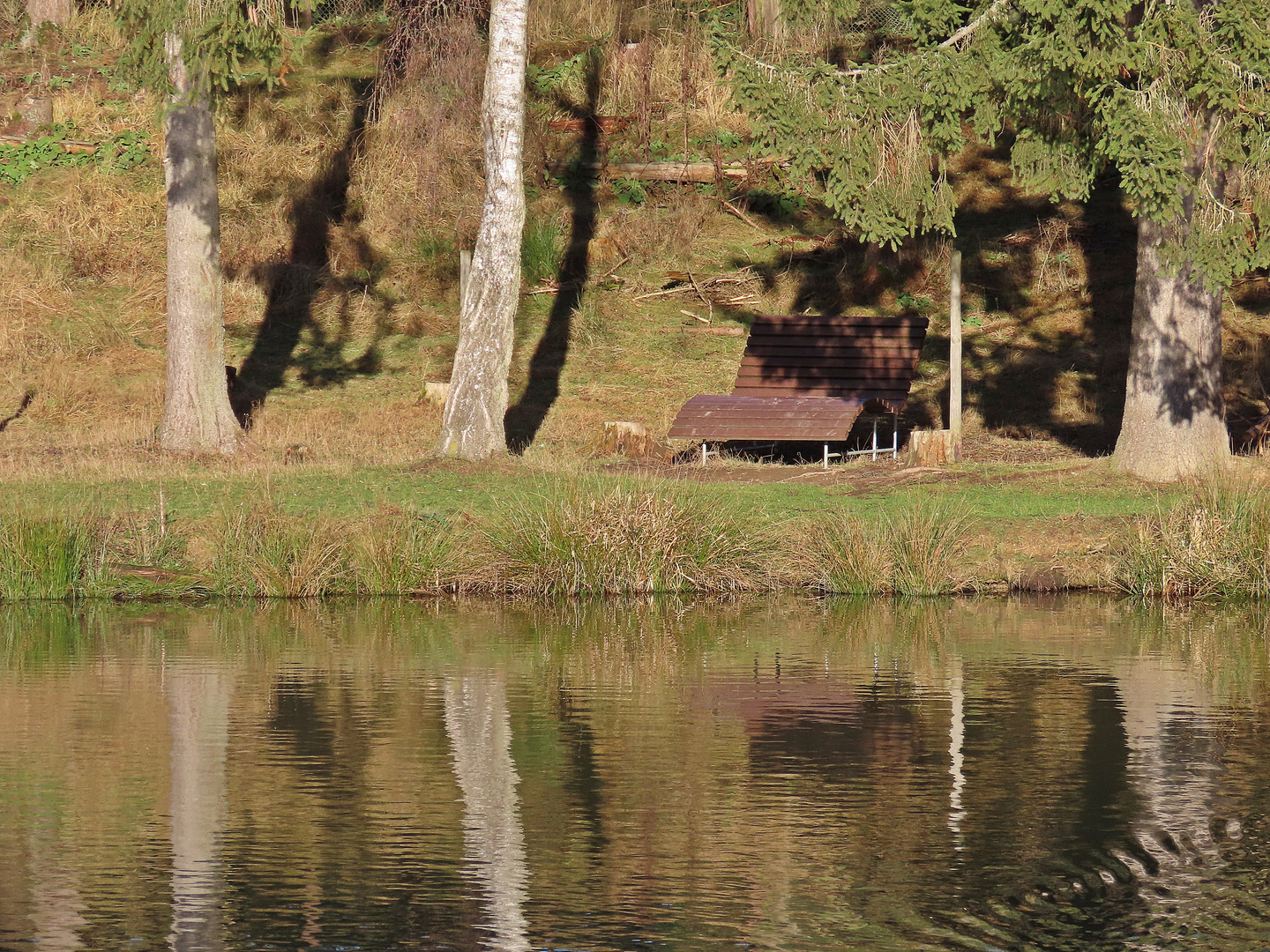 Die Bank am See