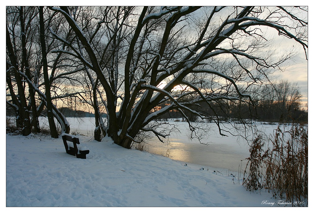 Die Bank am See