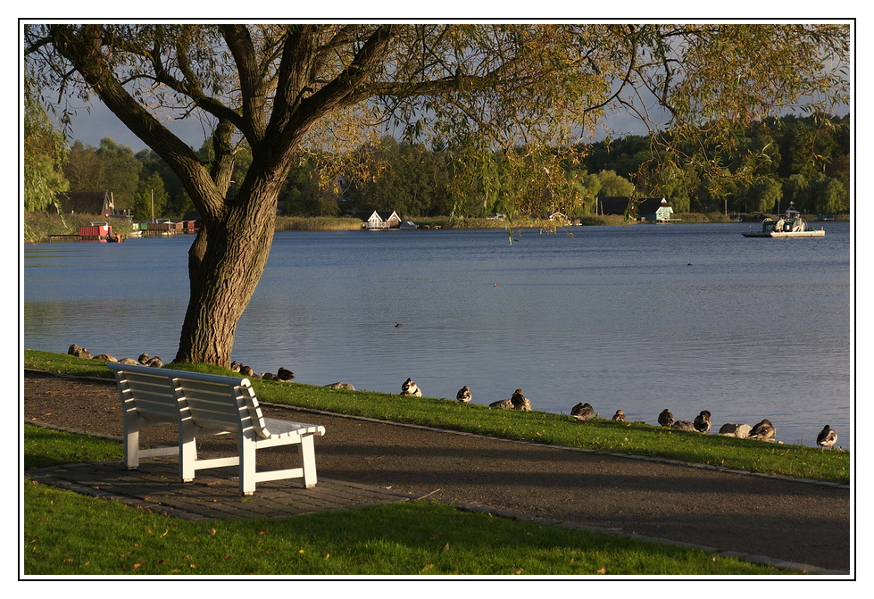 Die Bank am See Foto & Bild landschaft, bach, fluss & see, see, teich