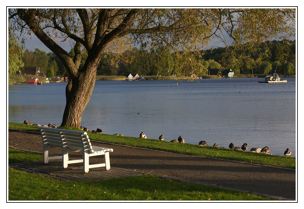 Die Bank am See