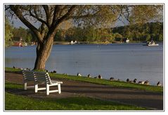 Die Bank am See