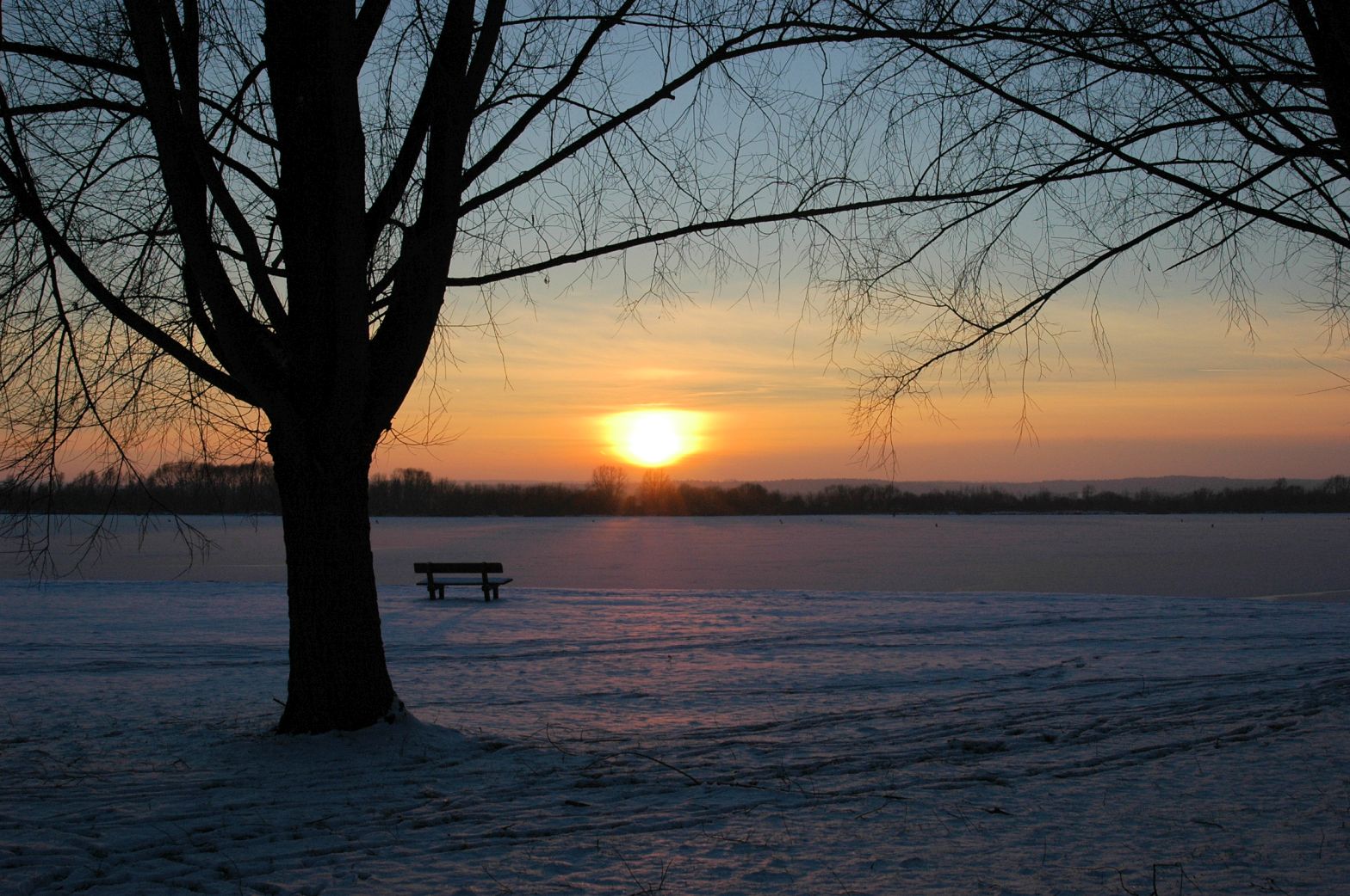 Die Bank am See