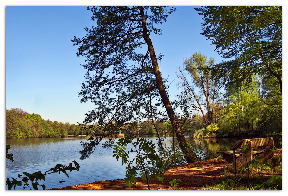 Die Bank am See