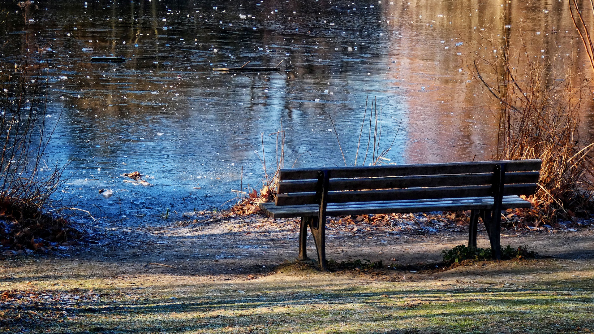 Die Bank am Teich Foto & Bild natur, landschaft, park zoopark