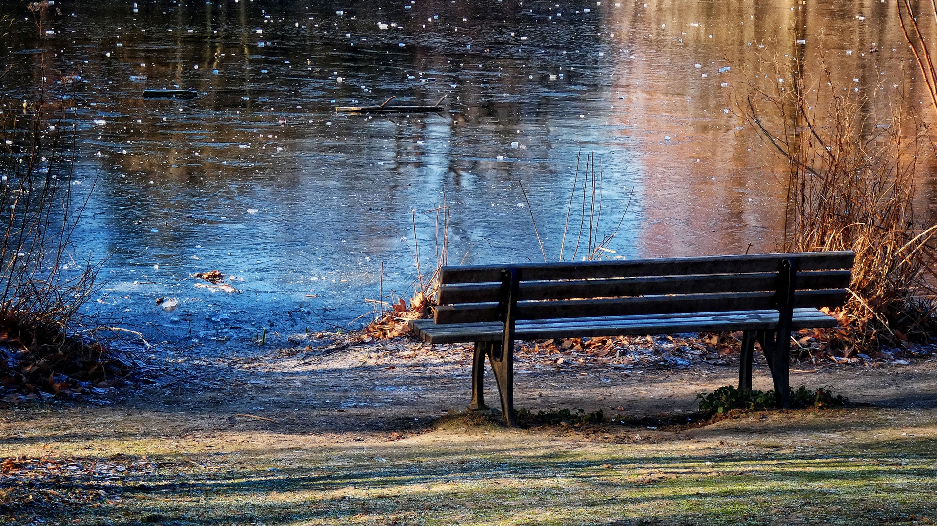 Die Bank am Teich