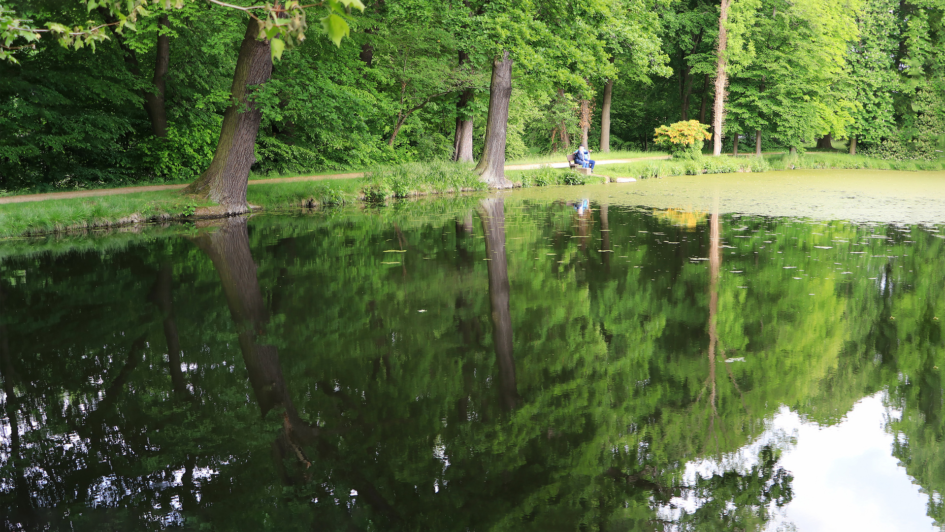 Die Bank am Teich