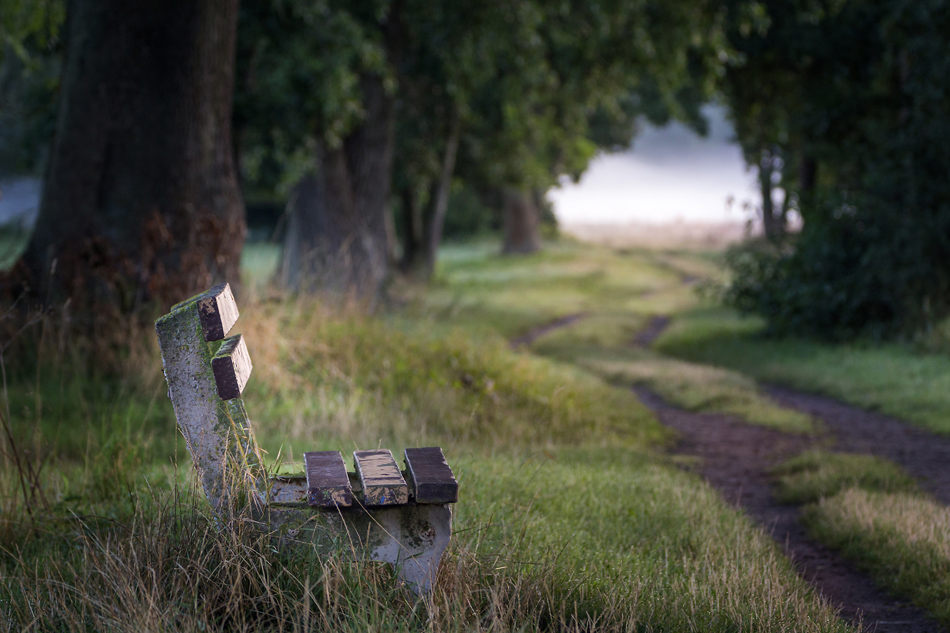 Die Bank am Weg