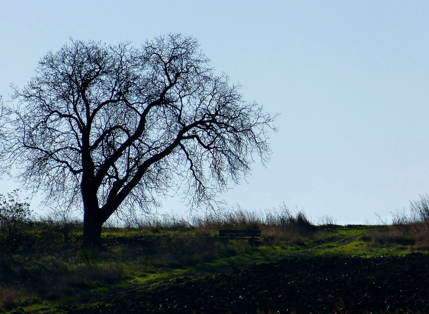 Die Bank am Wegesrand