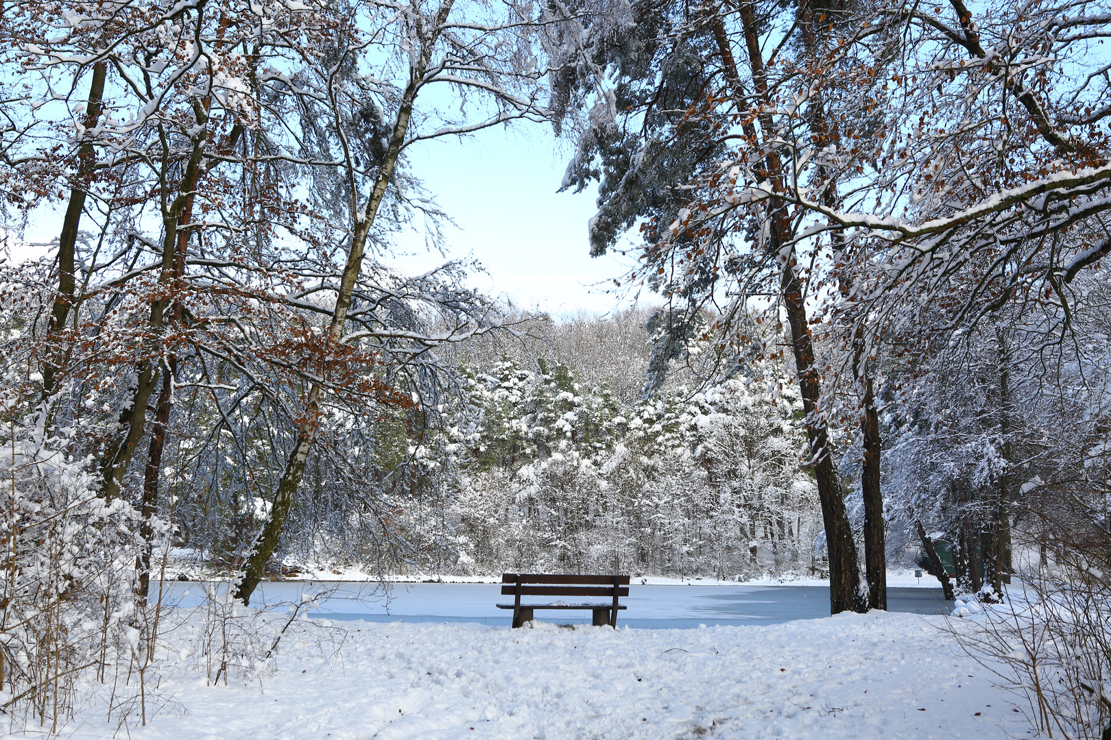 Die Bank am Weiher