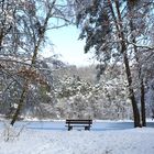 Die Bank am Weiher