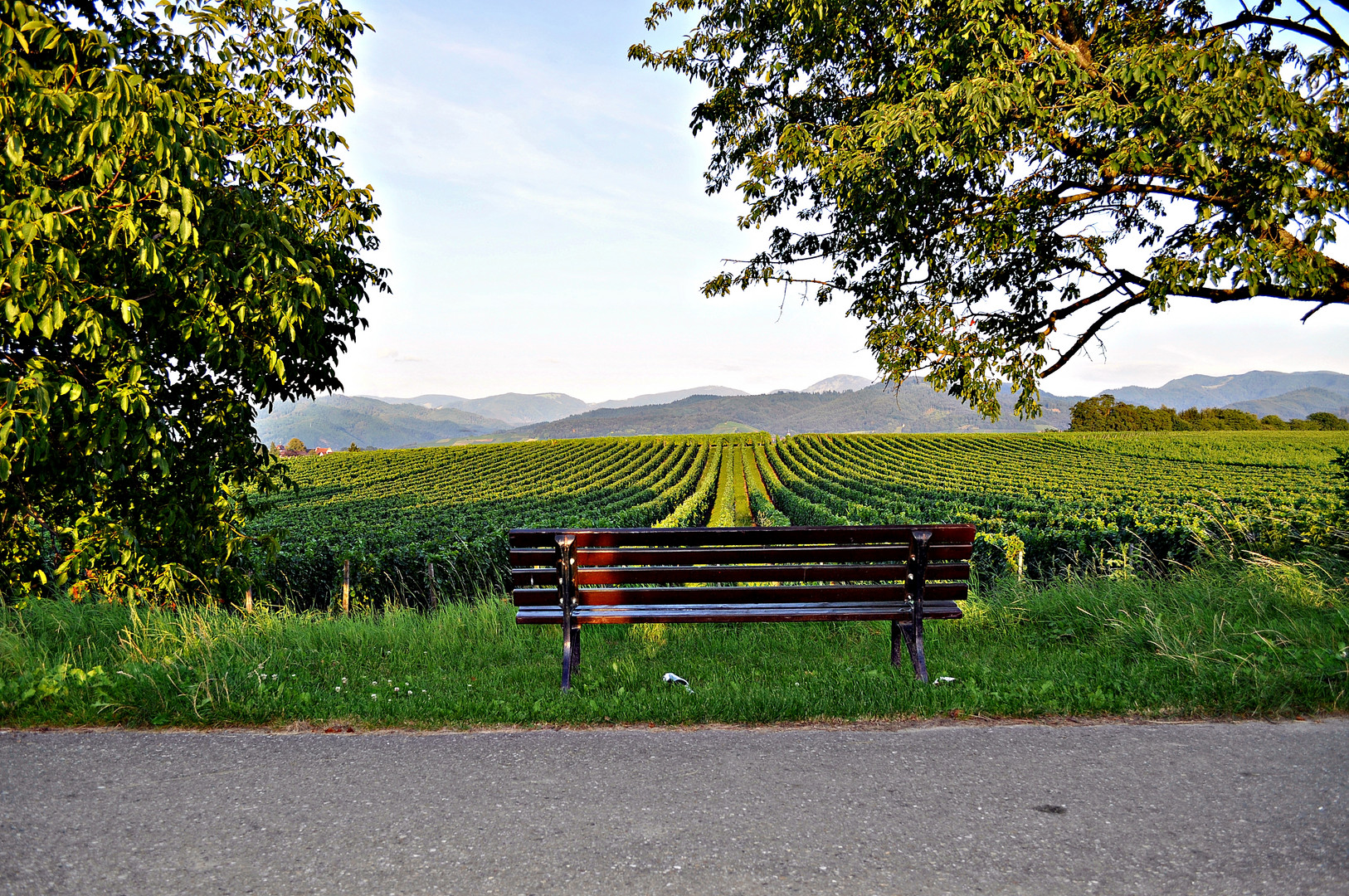 Die Bank der Sinnlichkeit