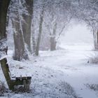 Die Bank, der Weg und der Schnee