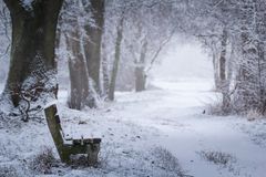 Die Bank, der Weg und der Schnee