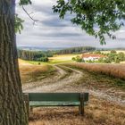 Die Bank für mich, der Baum für meinen Hund