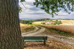 Die Bank für mich, der Baum für meinen Hund