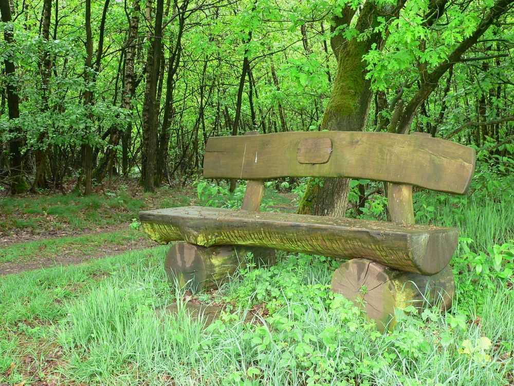 Die Bank Im Grunen Foto Bild Landschaft Banke In Der Landschaft Zaune Banke Wegweiser Co Bilder Auf Fotocommunity