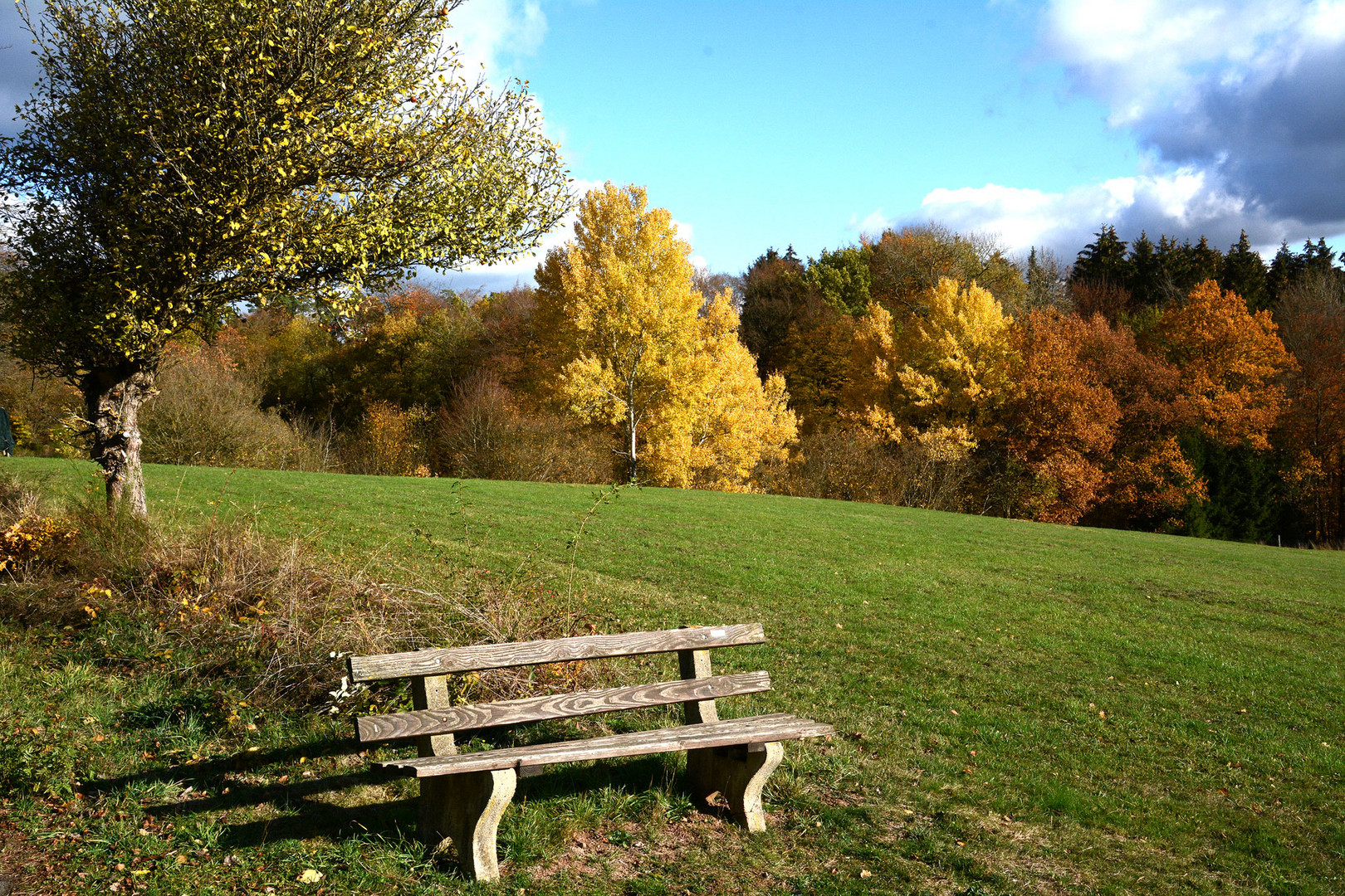 Die Bank im Herbst, heute an meiner Fahrradstrecke Foto & Bild | natur