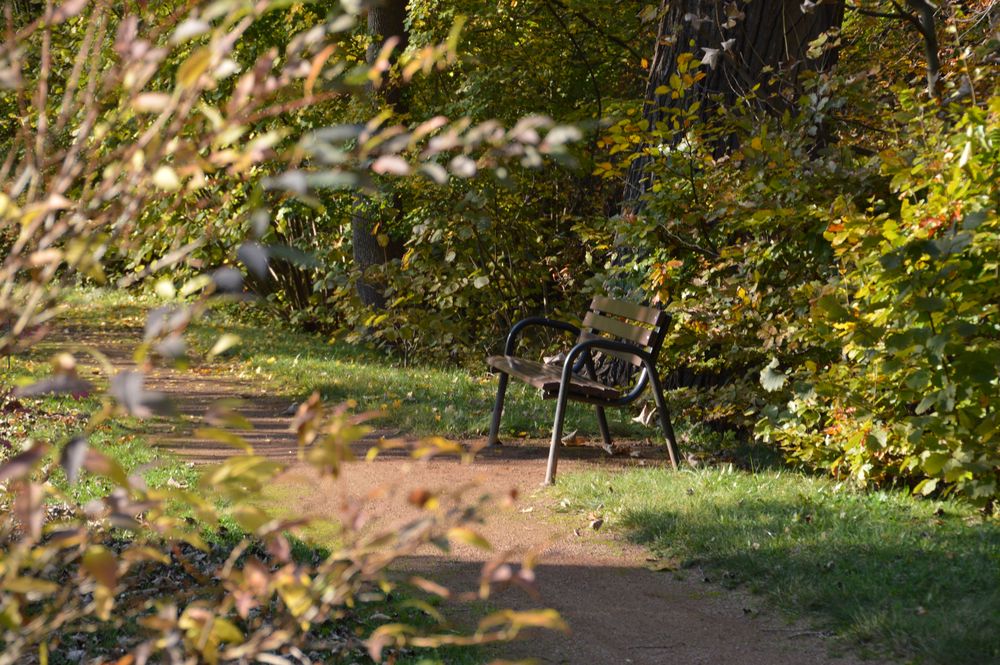 Die Bank im Park Foto & Bild | landschaft, garten- & parklandschaften