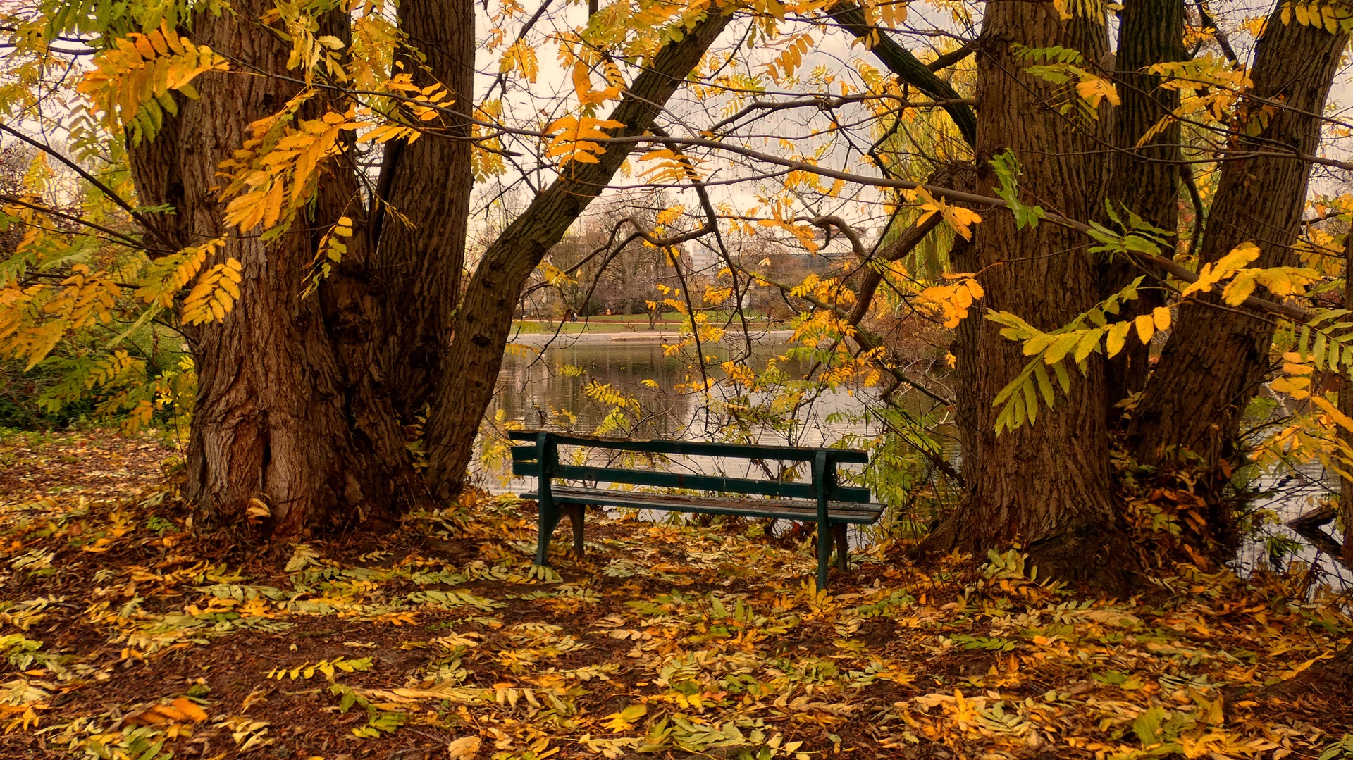 Die Bank im Park Foto & Bild | natur, landschaft, zoopark düsseldorf