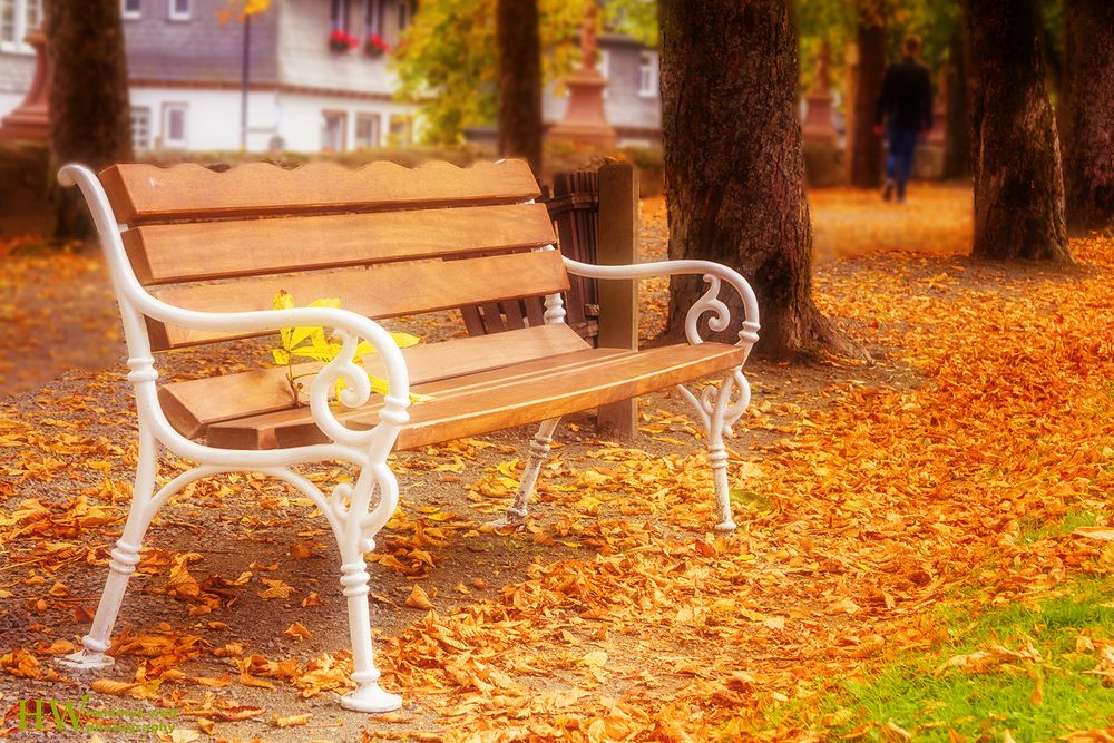 Die Bank im Park Foto & Bild jahreszeiten, herbst, natur Bilder auf