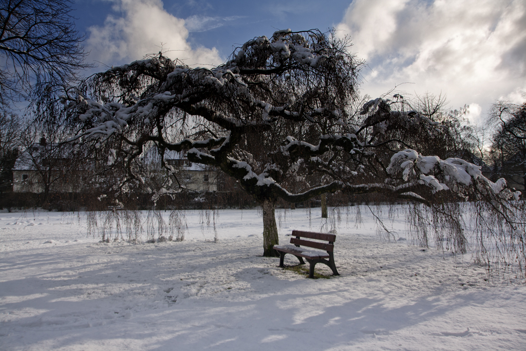 Die Bank im Park