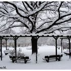 Die Bank im Park wartet (mit Gedicht)