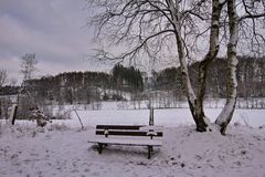 Die Bank im Schnee