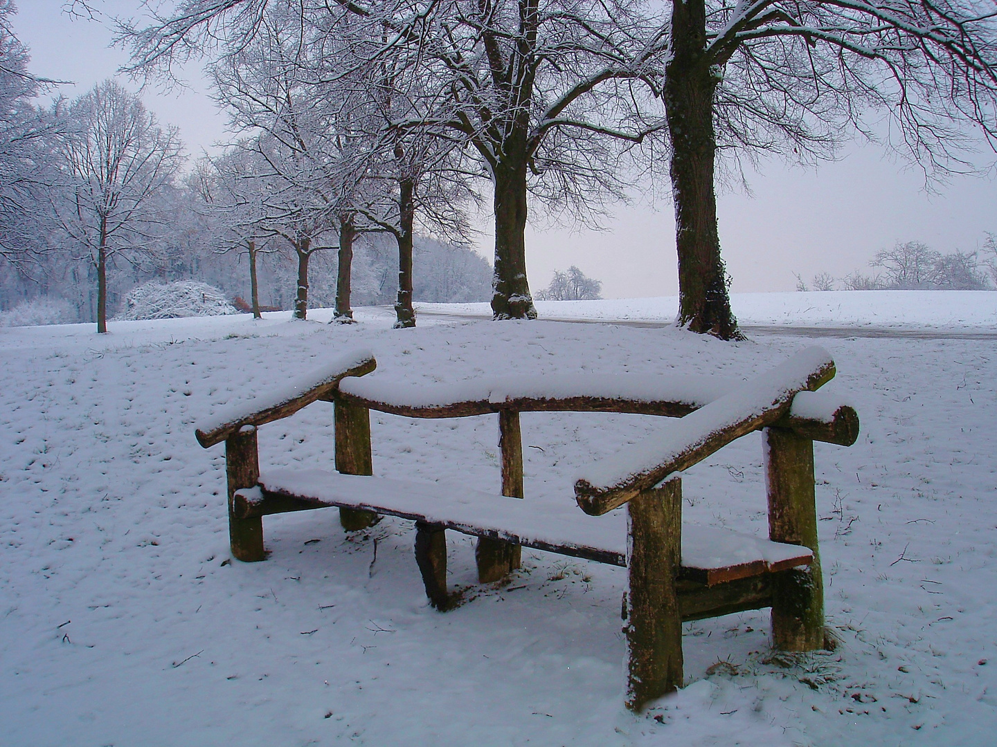 Die Bank im Schnee