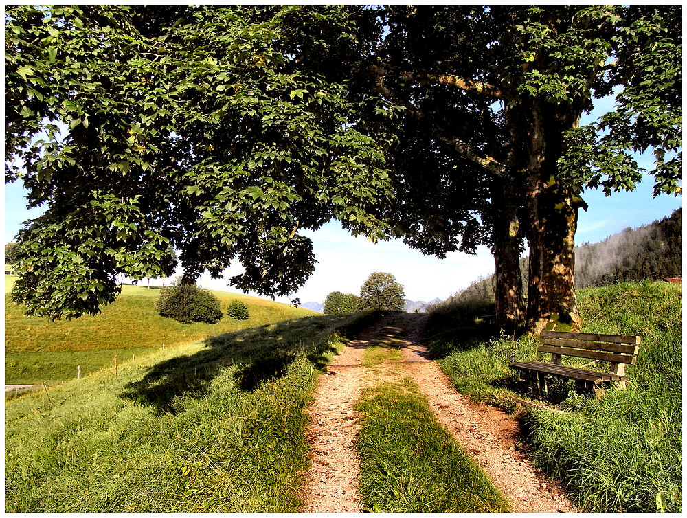 Die Bank im Sonnenschein - Läd' zum Verweilen ein