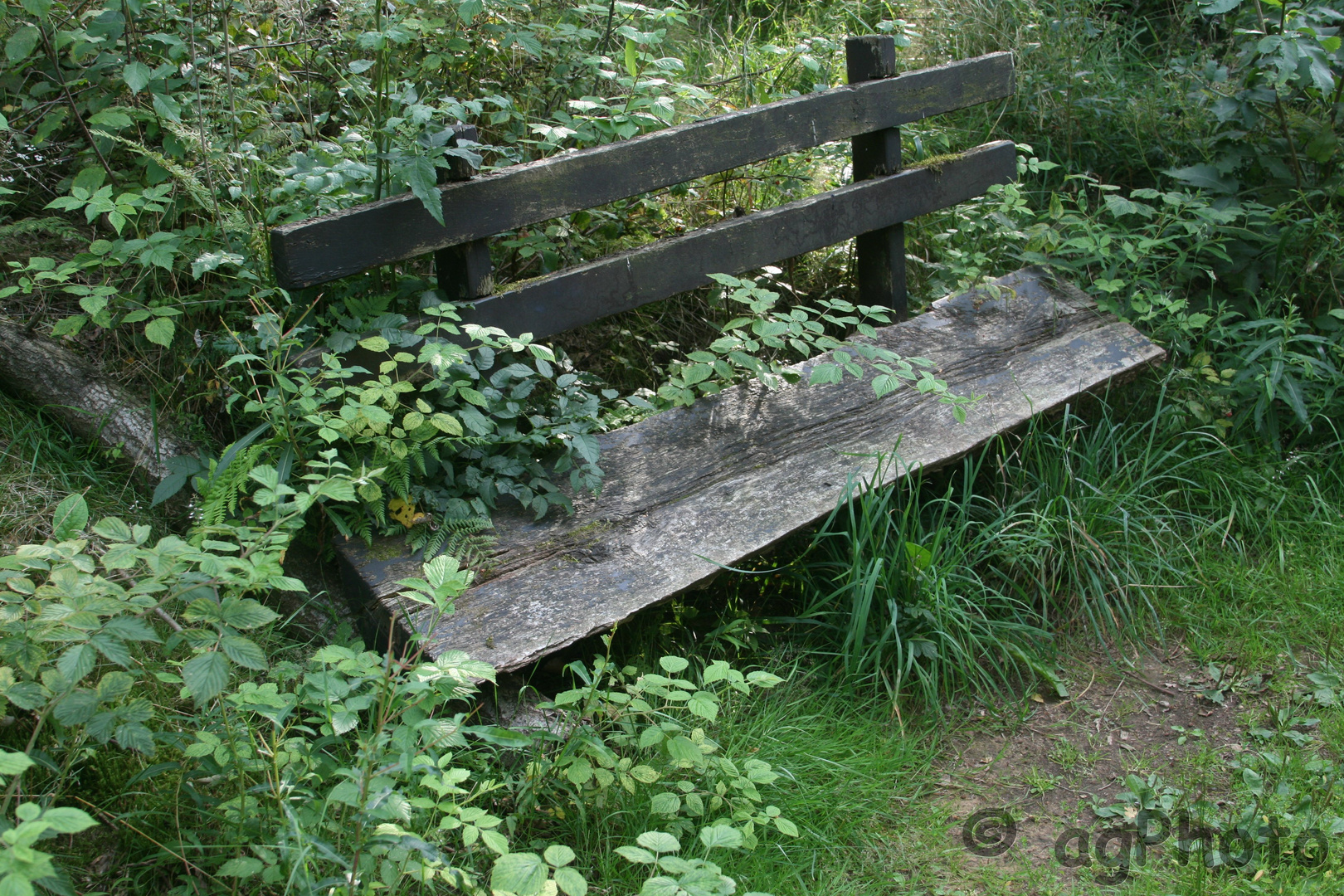 die Bank im Teutoburger Wald