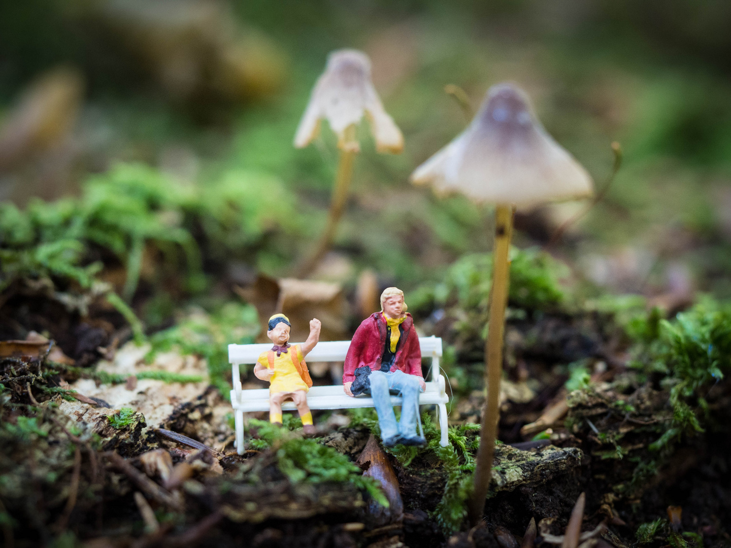 Die Bank im Wald #2 Foto & Bild | stillleben, figuren und miniaturen