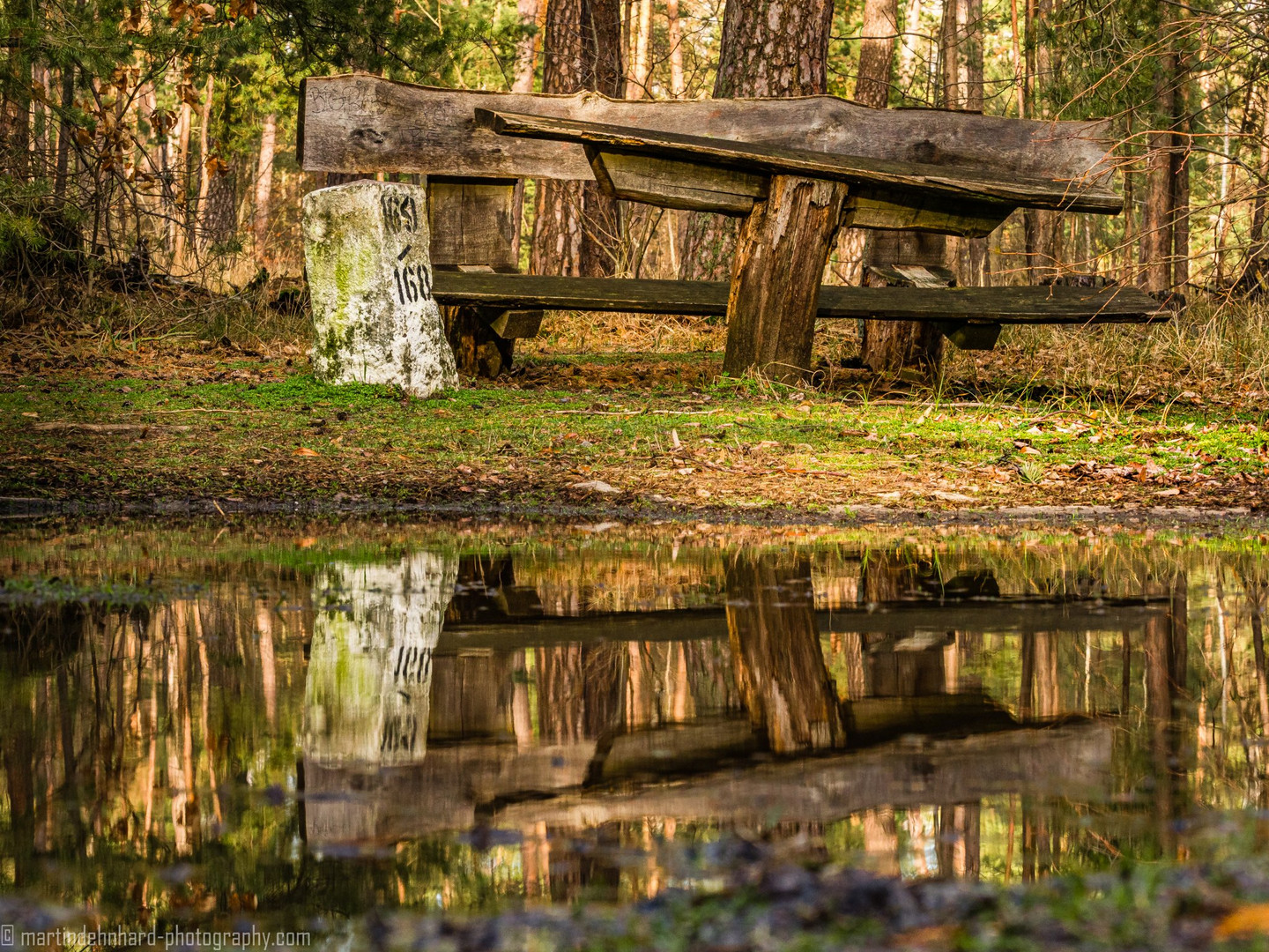 Die Bank im Wald Foto & Bild | landschaft, garten- & parklandschaften