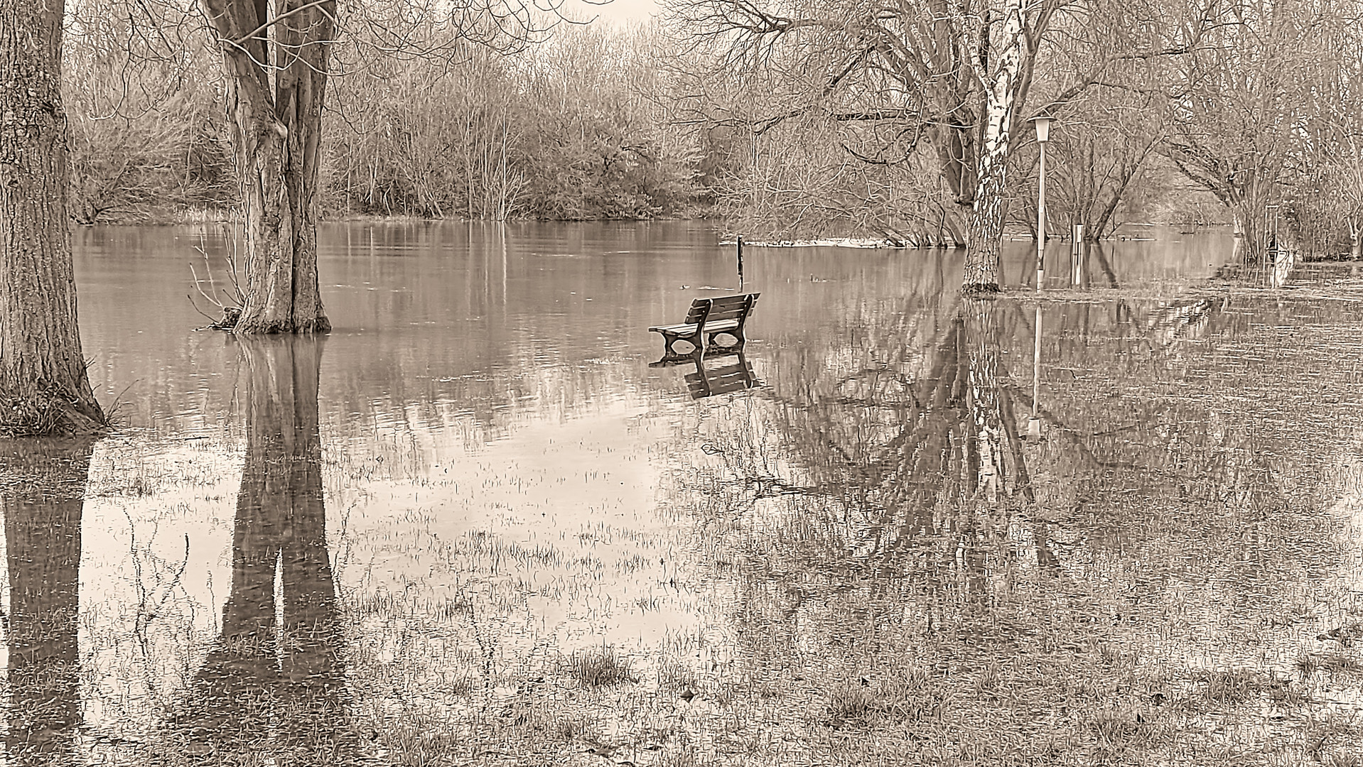 die Bank im Wasser