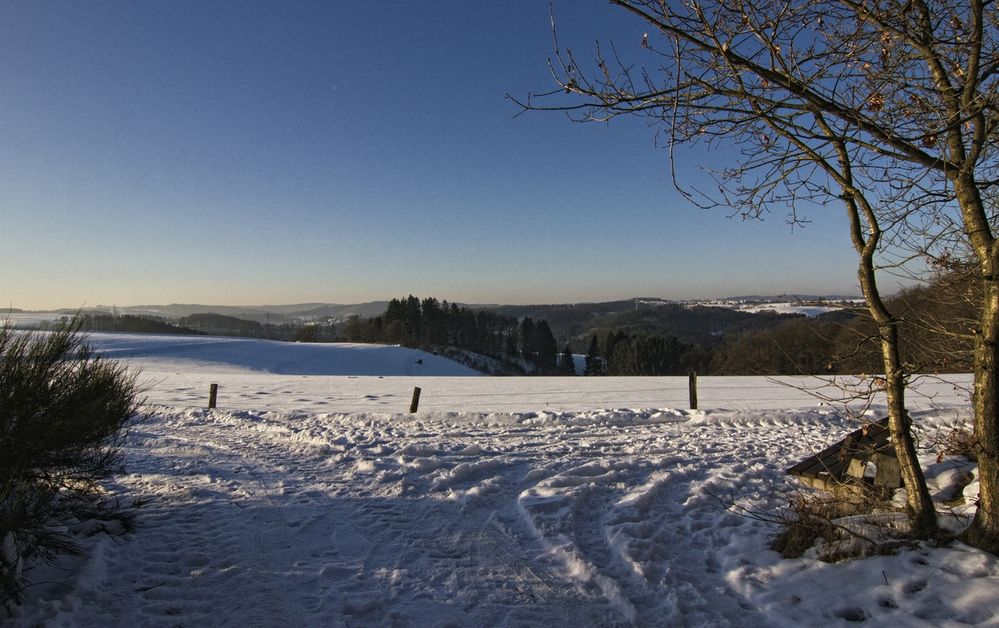 Die Bank im Winter