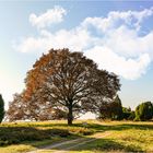 Die Bank in der Heide