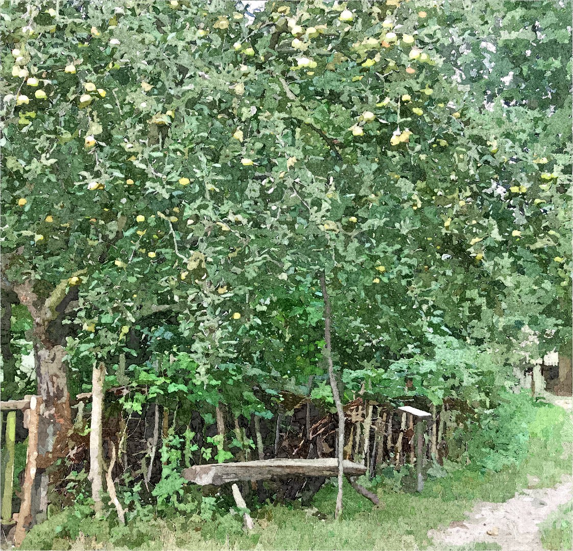 die Bank unter dem Apfelbaum